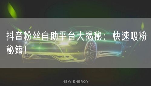 抖音粉丝自助平台大揭秘:快速吸粉秘籍!