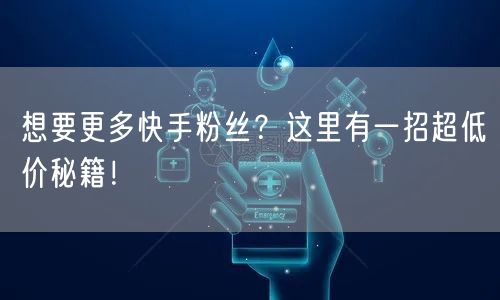 想要更多快手粉丝？这里有一招超低价秘籍！