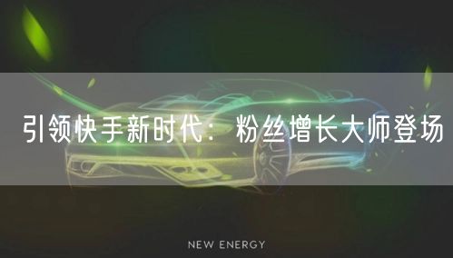 引领快手新时代：粉丝增长大师登场