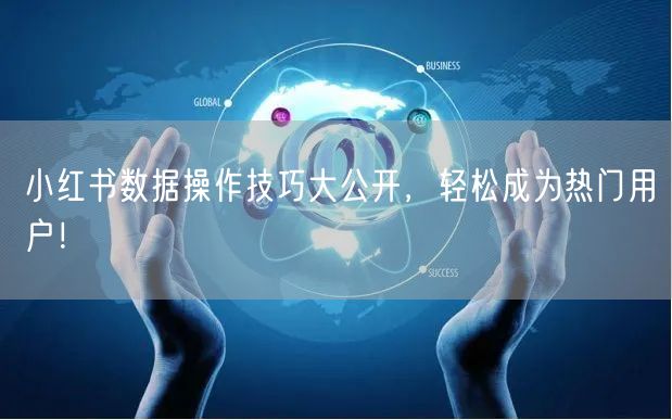 小红书数据操作技巧大公开，轻松成为热门用户！