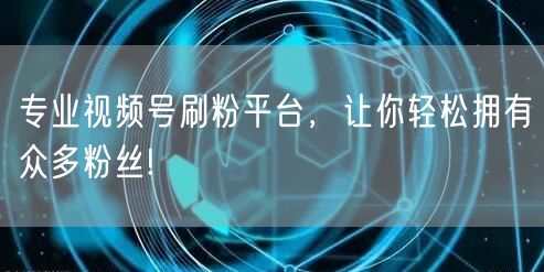 专业视频号刷粉平台，让你轻松拥有众多粉丝!