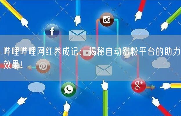哔哩哔哩网红养成记：揭秘自动涨粉平台的助