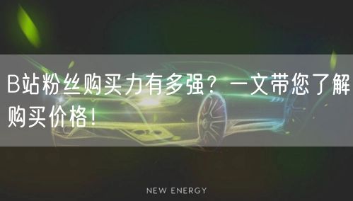 B站粉丝购买力有多强？一文带您了解购买价格！