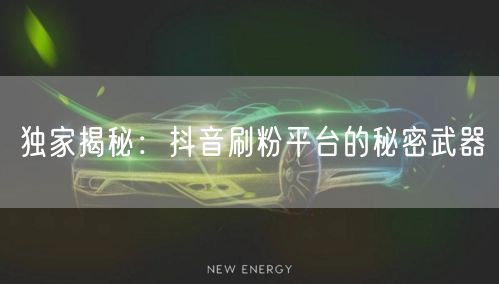 独家揭秘：抖音刷粉平台的秘密武器