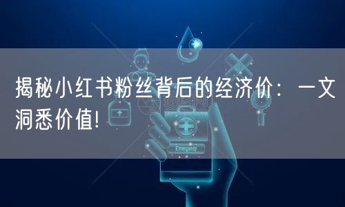 揭秘小红书粉丝背后的经济价：一文洞悉价值!