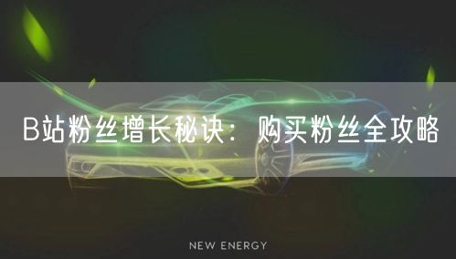 B站粉丝增长秘诀：购买粉丝全攻略