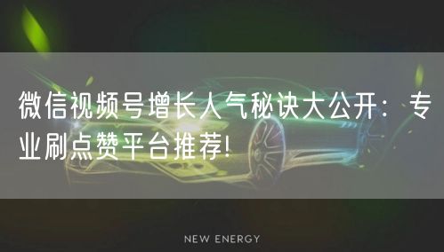 微信视频号增长人气秘诀大公开：专业刷点赞平台推荐!