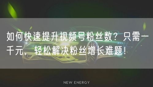 如何快速提升视频号粉丝数？只需一千元，轻松解决粉丝增长难题！