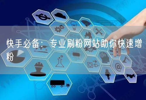 快手必备：专业刷粉网站助你快速增粉