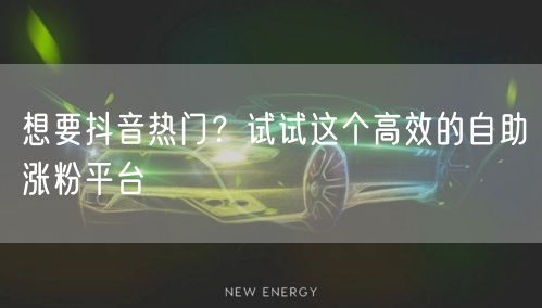 想要抖音热门？试试这个高效的自助涨粉平台