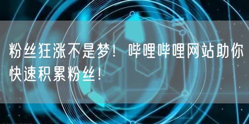 粉丝狂涨不是梦！哔哩哔哩网站助你快速积累粉丝！