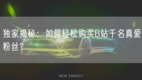 独家揭秘：如何轻松购买B站千名真爱粉丝？