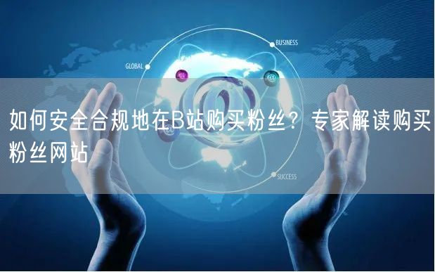 如何安全合规地在B站购买粉丝？专家解读购买粉丝网站