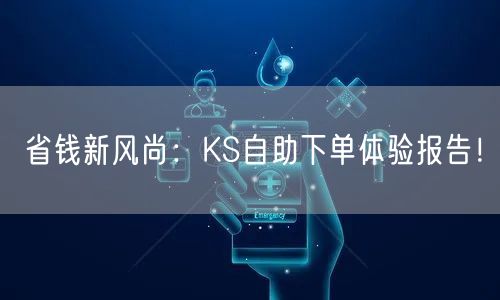 省钱新风尚：KS自助下单体验报告！