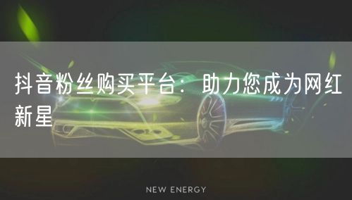 抖音粉丝购买平台：助力您成为网红新星