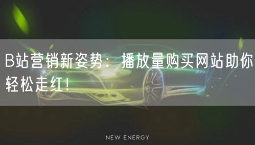 B站营销新姿势：播放量购买网站助你轻松走红！