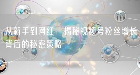 从新手到网红!揭秘视频号粉丝增长背后的秘密策略