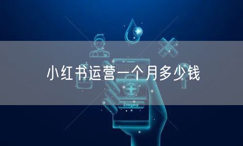 小红书运营一个月多少钱