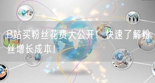 B站买粉丝花费大公开！快速了解粉丝增长成本！