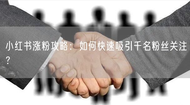 小红书涨粉攻略：如何快速吸引千名粉丝关注？