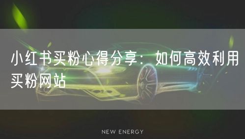 小红书买粉心得分享:如何高效利用买粉网站