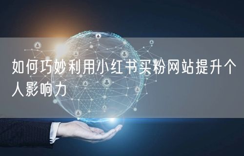 如何巧妙利用小红书买粉网站提升个人影响力