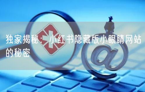 独家揭秘：小红书隐藏版小眼睛网站的秘密