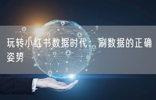 玩转小红书数据时代:刷数据的正确姿势