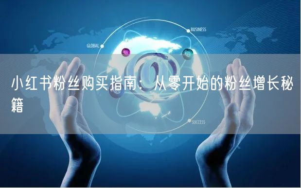 小红书粉丝购买指南：从零开始的粉丝增长秘