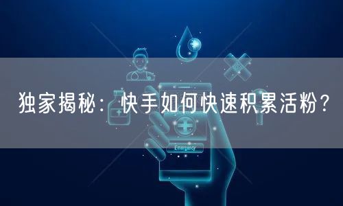 独家揭秘：快手如何快速积累活粉？