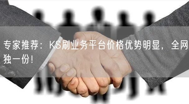 专家推荐：KS刷业务平台价格优势明显，全网独一份！