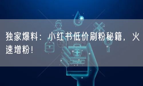 独家爆料：小红书低价刷粉秘籍，火速增粉！