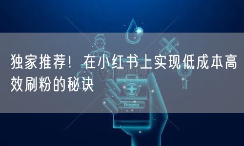 独家推荐！在小红书上实现低成本高效刷粉的