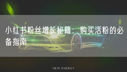 小红书粉丝增长秘籍：购买活粉的必备指南