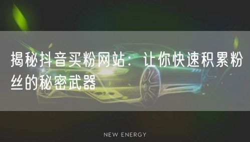 揭秘抖音买粉网站：让你快速积累粉丝的秘密武器