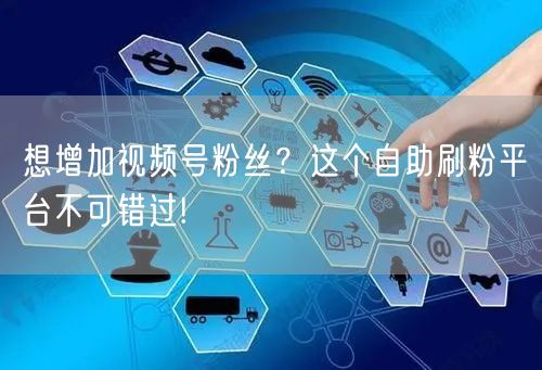 想增加视频号粉丝？这个自助刷粉平台不可错过!