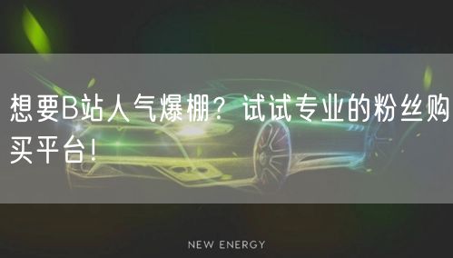 想要B站人气爆棚？试试专业的粉丝购买平台