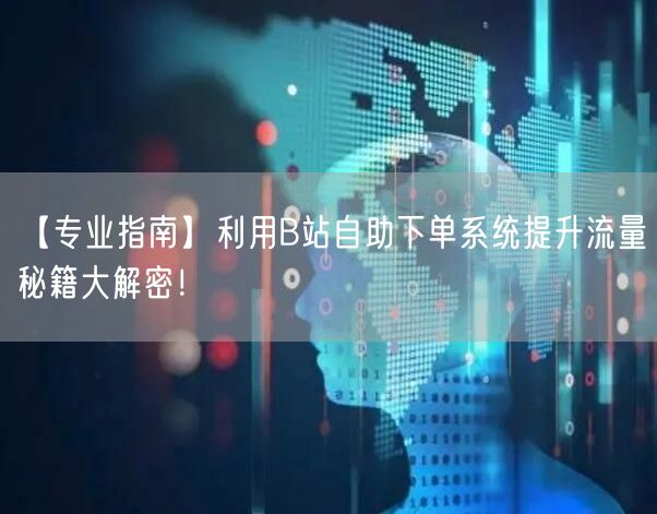 【专业指南】利用B站自助下单系统提升流量秘籍大解密！