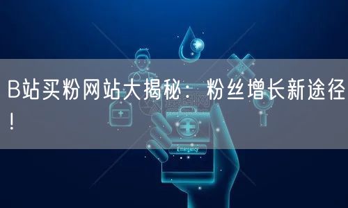 B站买粉网站大揭秘：粉丝增长新途径！