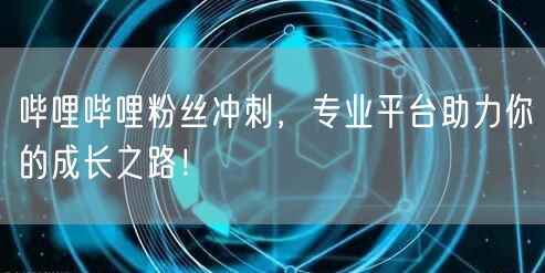 哔哩哔哩粉丝冲刺，专业平台助力你的成长之路！