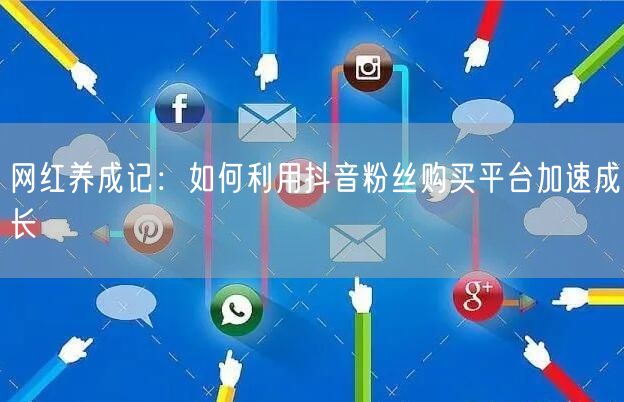 网红养成记：如何利用抖音粉丝购买平台加速成长