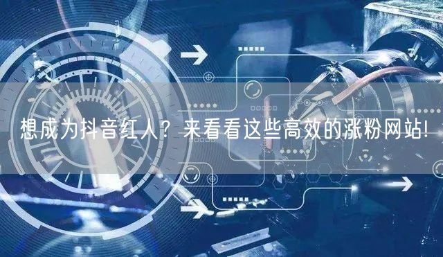 想成为抖音红人？来看看这些高效的涨粉网站