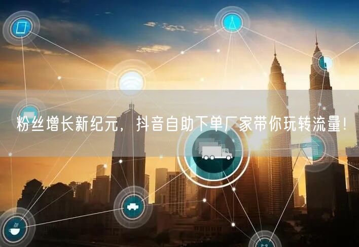 粉丝增长新纪元，抖音自助下单厂家带你玩转流量！