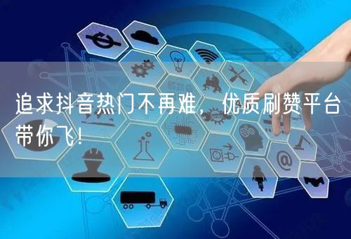 追求抖音热门不再难，优质刷赞平台带你飞！