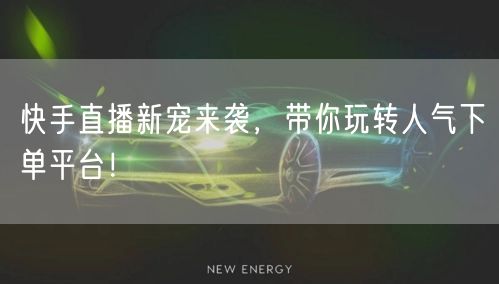 快手直播新宠来袭，带你玩转人气下单平台！