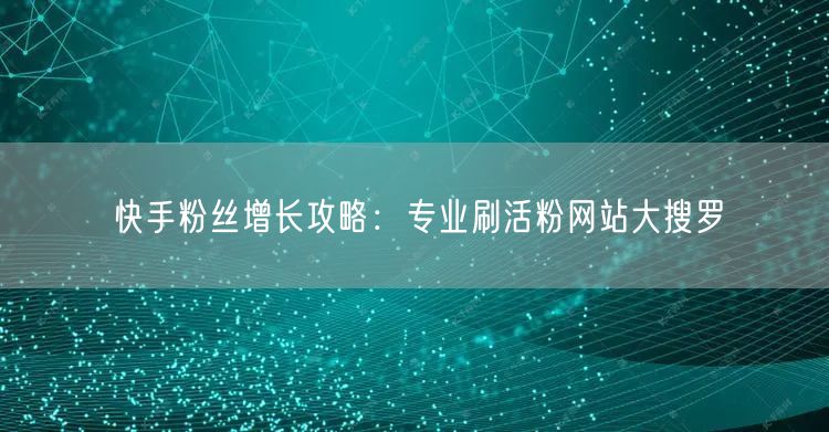 快手粉丝增长攻略：专业刷活粉网站大搜罗