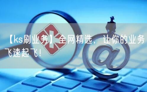 【ks刷业务】全网精选，让你的业务飞速起